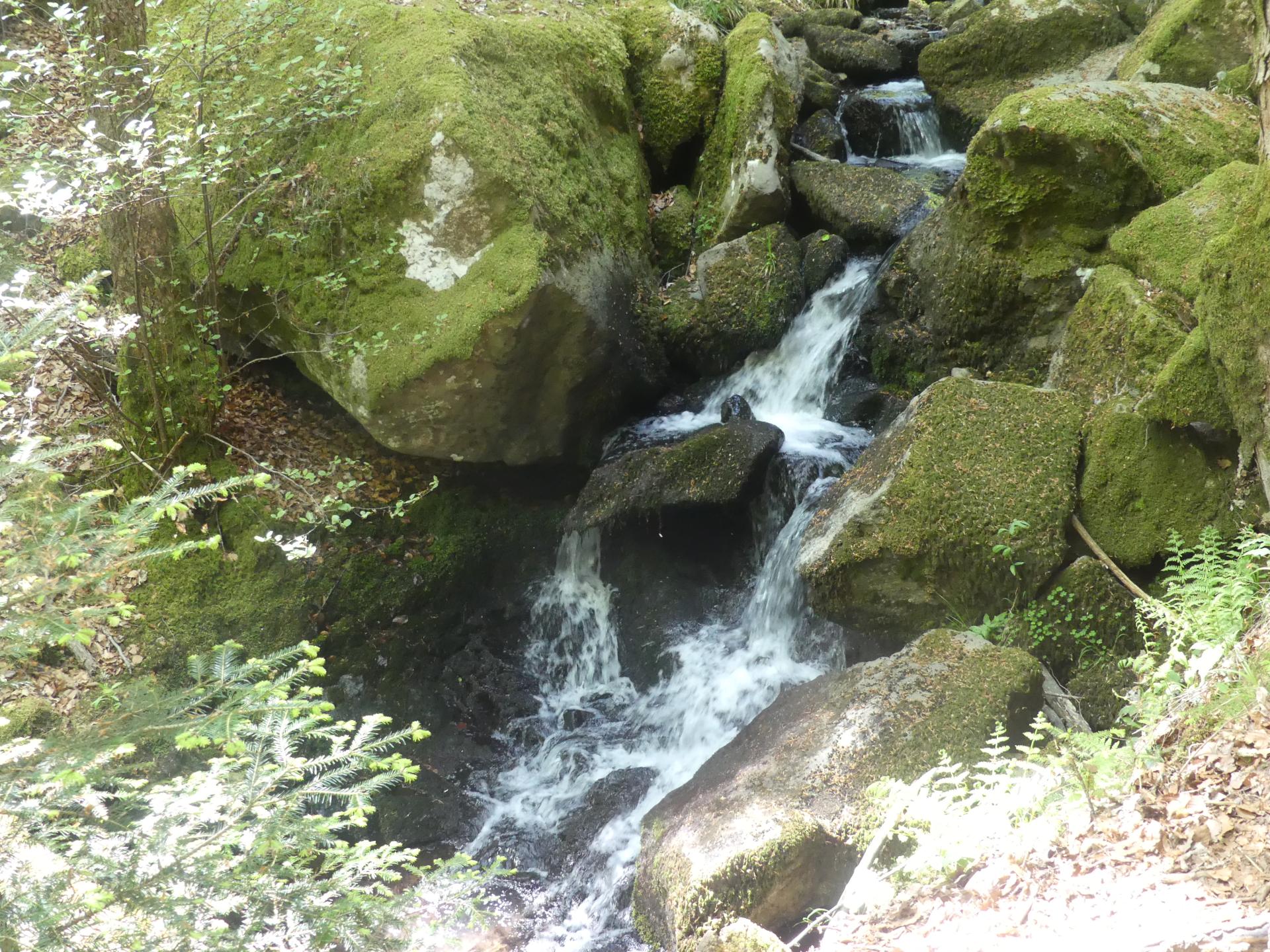 03 mai01 27