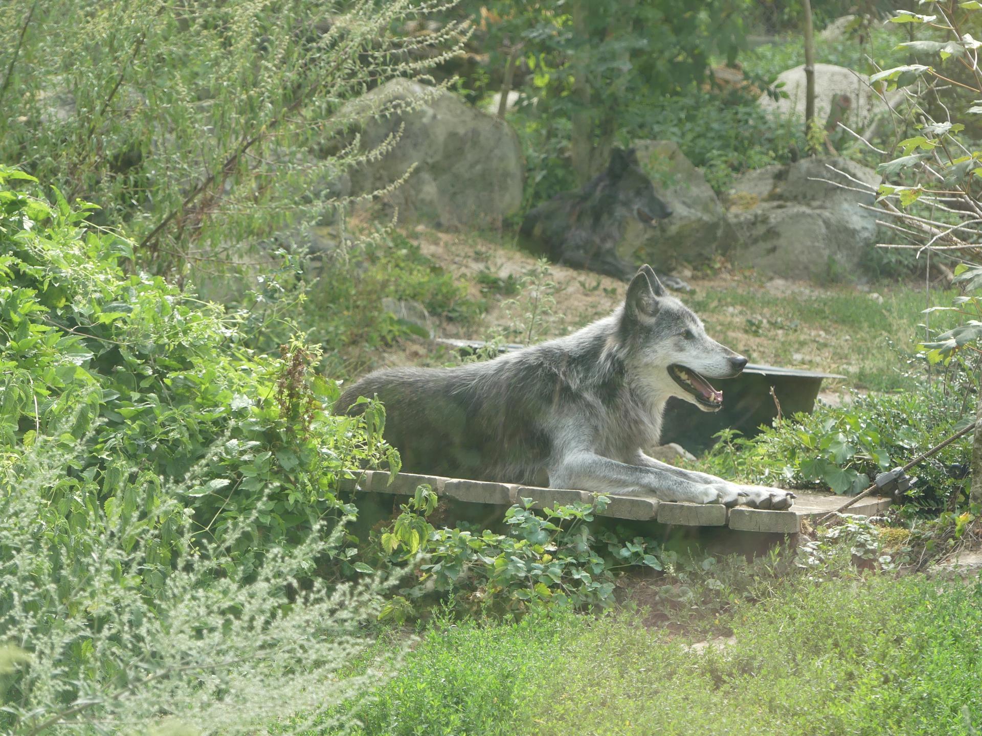 07 az08 1