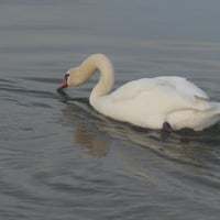 12 sept2 26