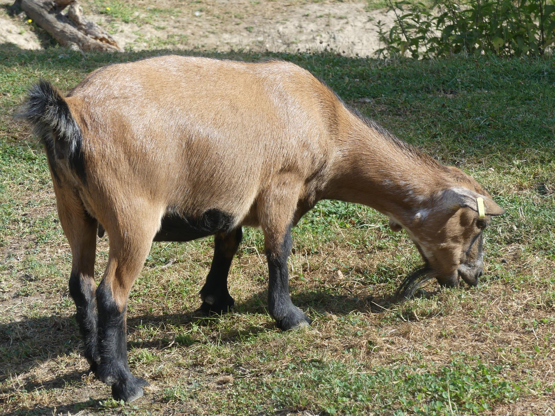 15 az07