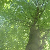 15 sept1 26