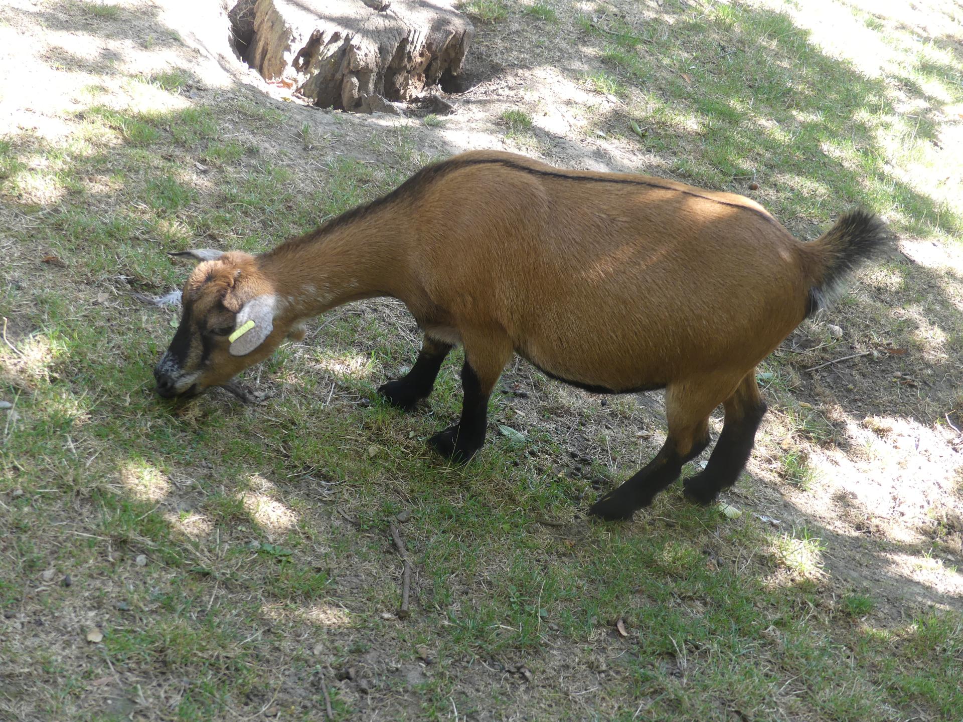 16 az07