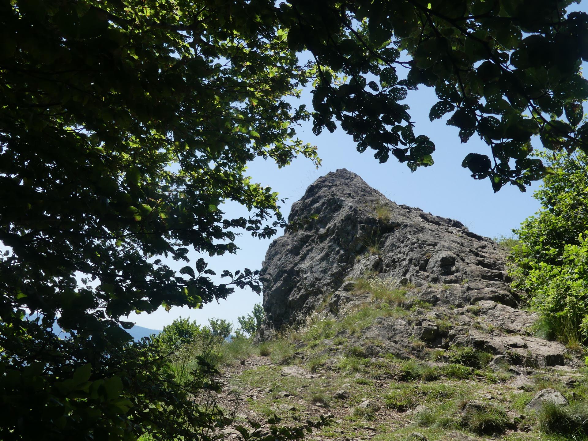 16 jn25