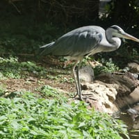 18 sept1 26