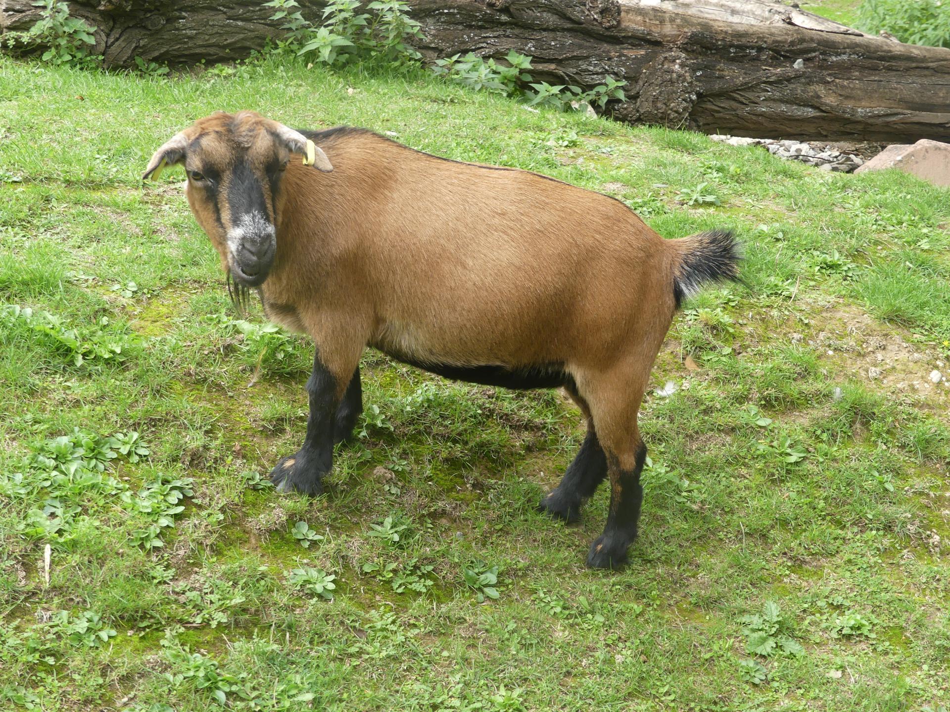 19 az07
