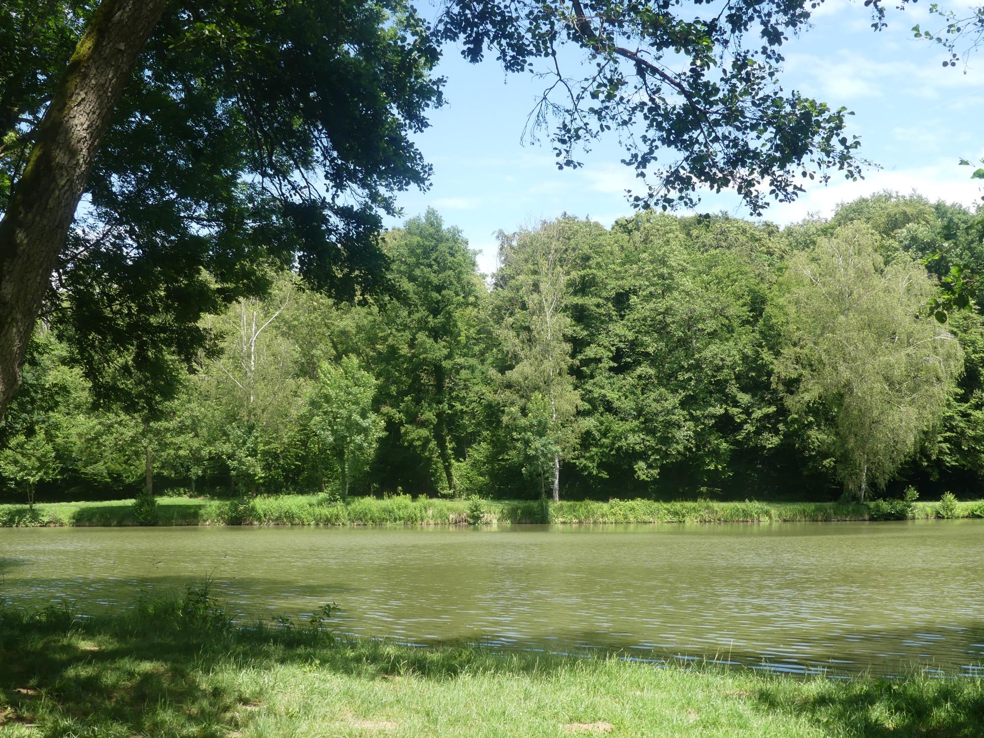 19 juin2 26