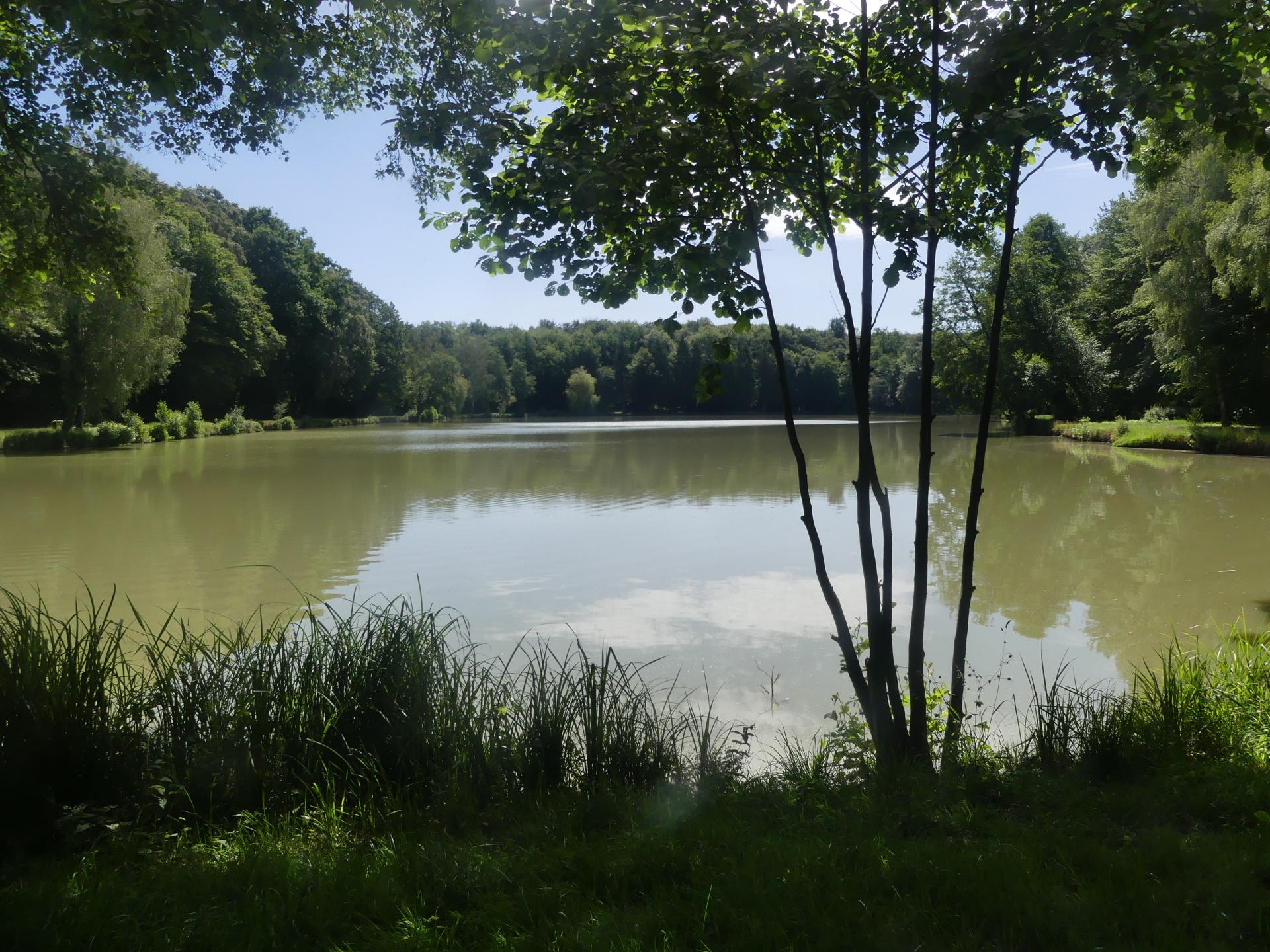 20 juin2 26