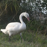 20 sept2 26