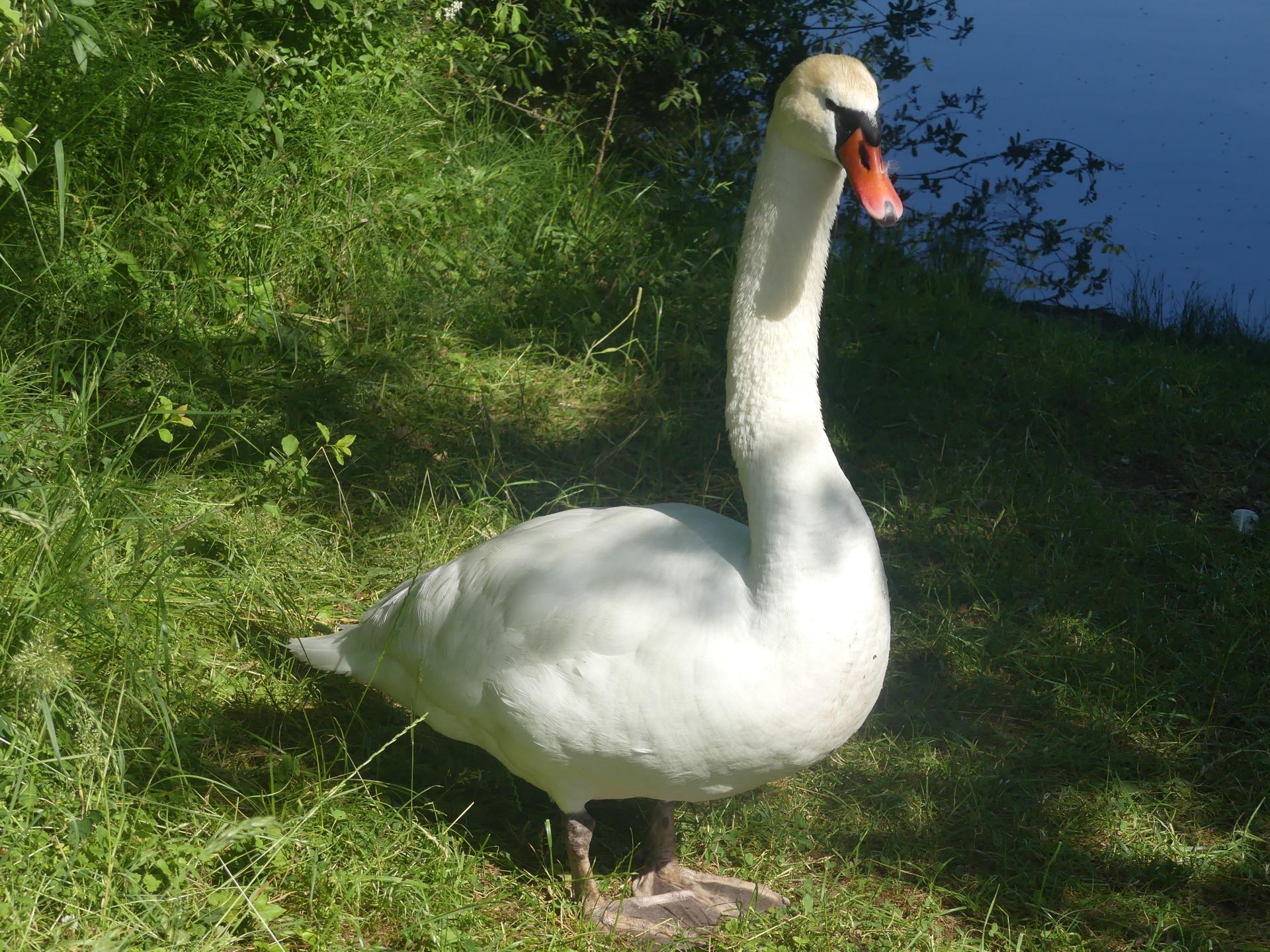 25 cy2 27