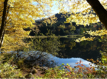 Feuilles d automne